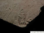 L_V21d3977 J1q1179.5 S920 dM  cv f239